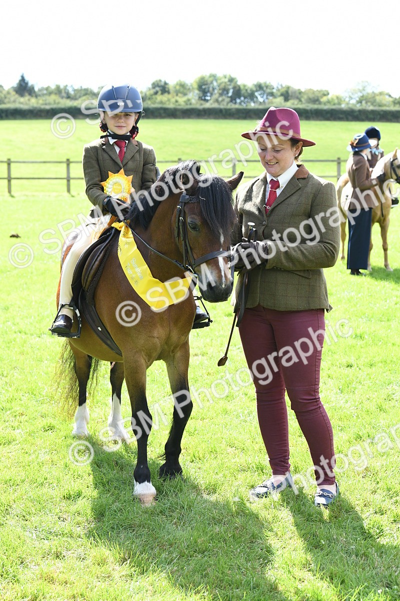 SBM_42640 - S20 - Lead Rein Mountain & Moorland Pony