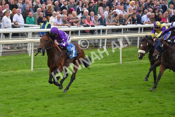 yr09102021r1-46 - Race 1 1.30pm Watch Racing Free Online At Coral Nursery Handicap