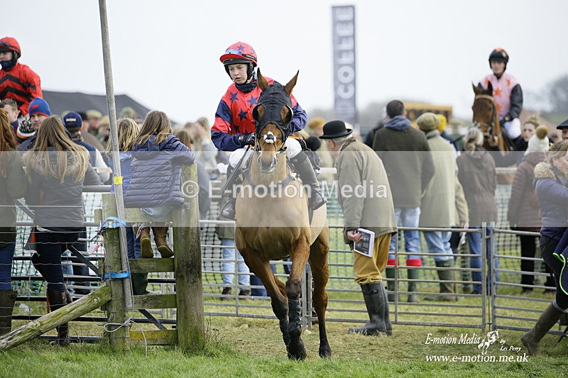 PtP 300122 452 - South Dorset Hunt - Point-to-Point Races 30/01/2022