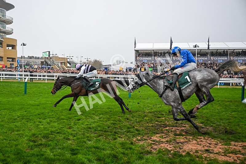151125-Race 3-July Flower--3021 - Race 3