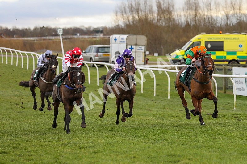 020224-Race 2-Onenightintown-6679 - Race 2