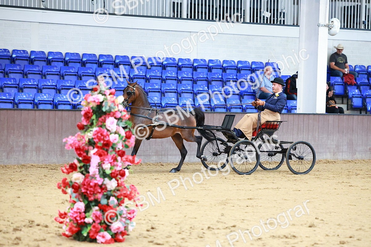 SBM_000652 - Class 9 - HHS Championship Intl Hackney Pony to a Showwagon