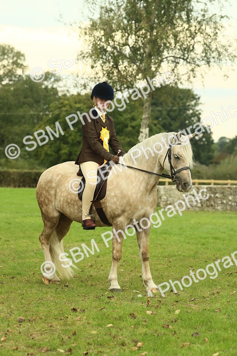 SBM_72340 - S60 - Mountain & Moorland Ridden Large Breeds
