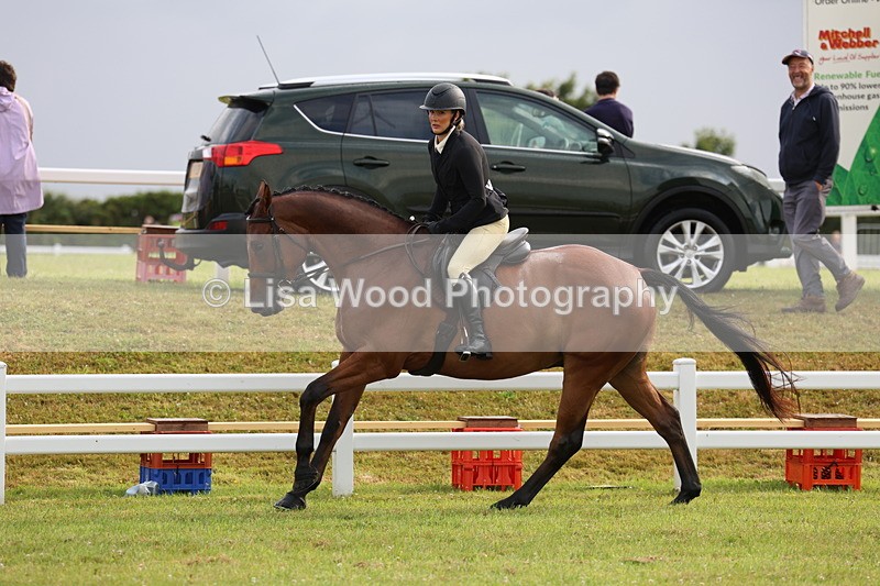 3E7A8094 - Class 2: Rising Star Large Hack/Riding Horse