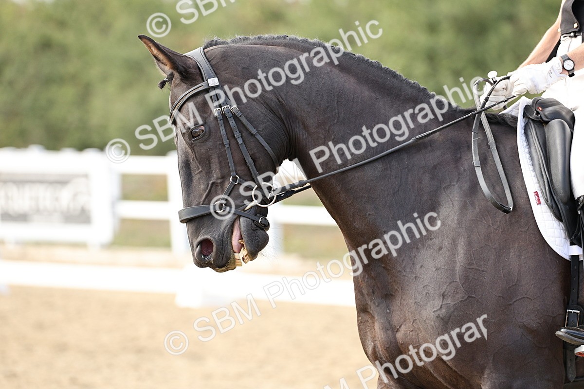SBM_016261 - Class 10 - Advanced Medium 5
