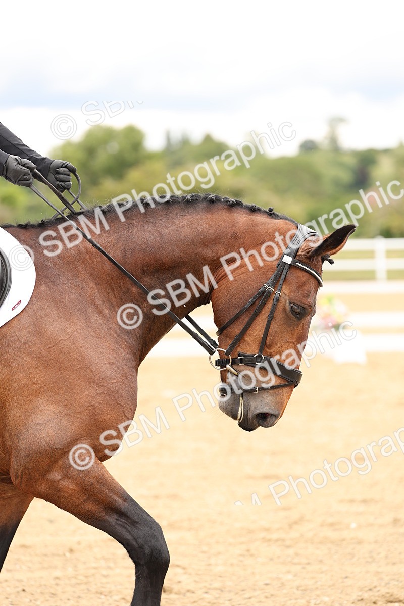 SBM_002621 - Class 6a - Novice 5 - 11.53-14.27