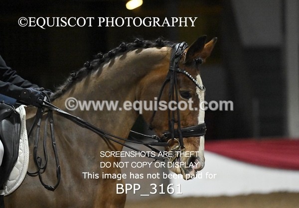 BPP_3161 - MED TEST 5