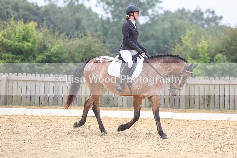 3E7A5389 - Class 2: Intro 4 2024 section B