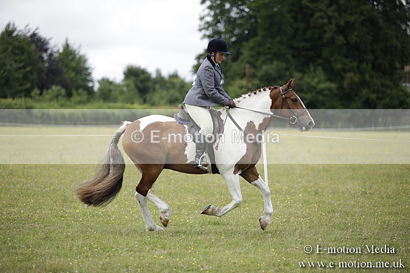 BVR160717-1886 - Ring 1 BVRC Show 16/07/17