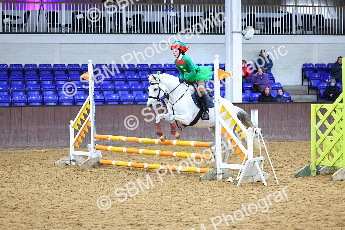 SBM_001379 - Class 3 - Christmas Tree Stakes - 60cm