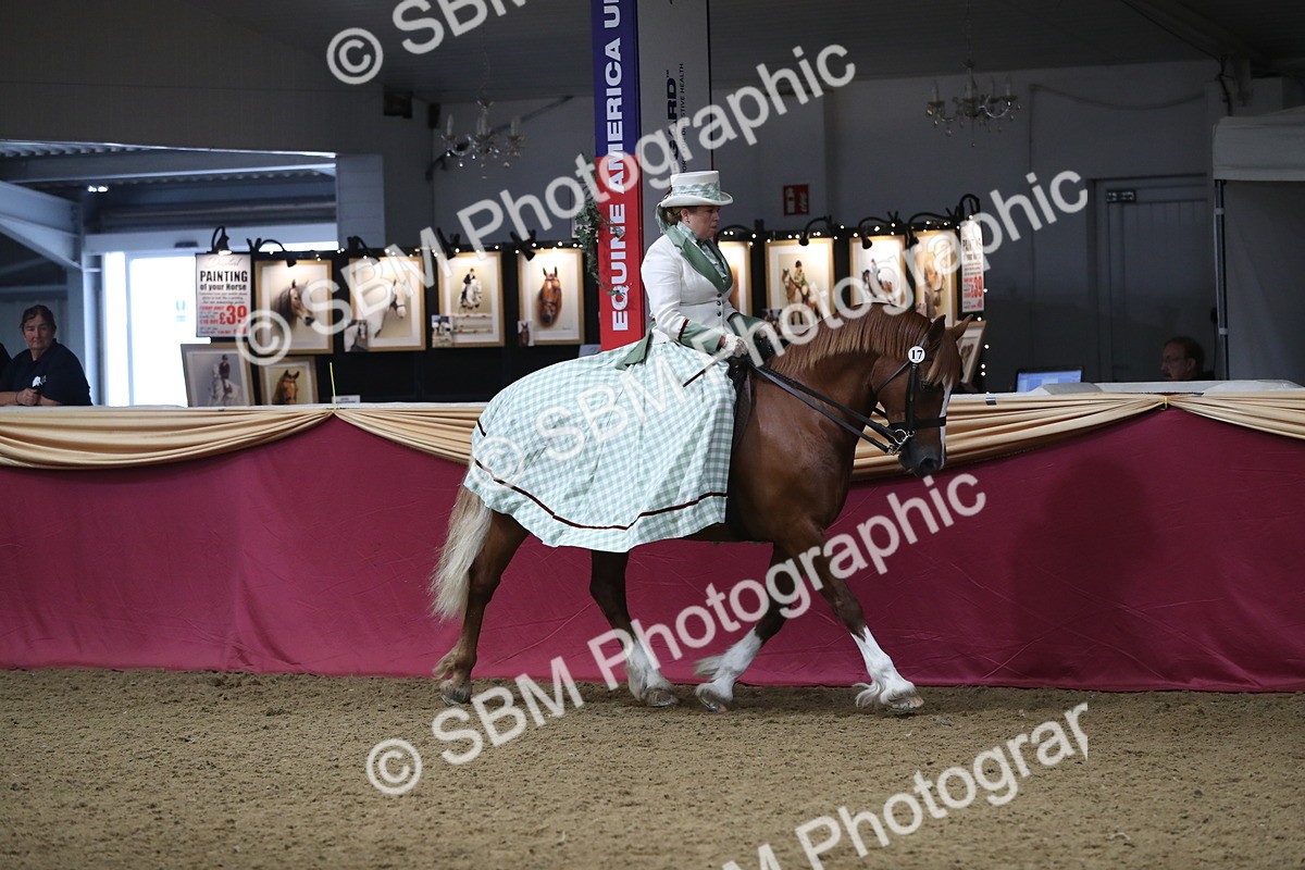 SBM_11973 - Class 106 Ridden Costume- Astride Adult (15-19)