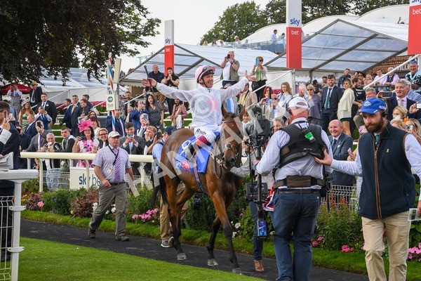260823-Race 4-Absurde-0869 - Race 4 Sky Bet Ebor Handicap