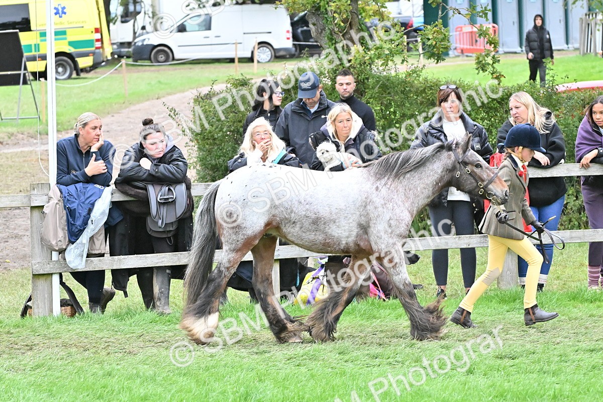SBM_68560 - S42 - Junior Handler 9-12 Years