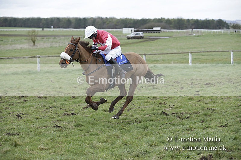 PtP 150320 0929 - New Forest Point-to-Point Larkhill 15/03/20