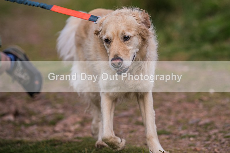 Gavel-455 - Gavel Fell Races (Junior & Senior) Wednesday 28th May 2025