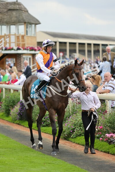 yr04092022r2-14 - Race 2 2.20pm John and Judith Marshall Memorial Stakes