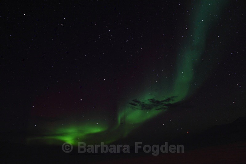 Northern Light in Adventdalen 5386 - Polar night