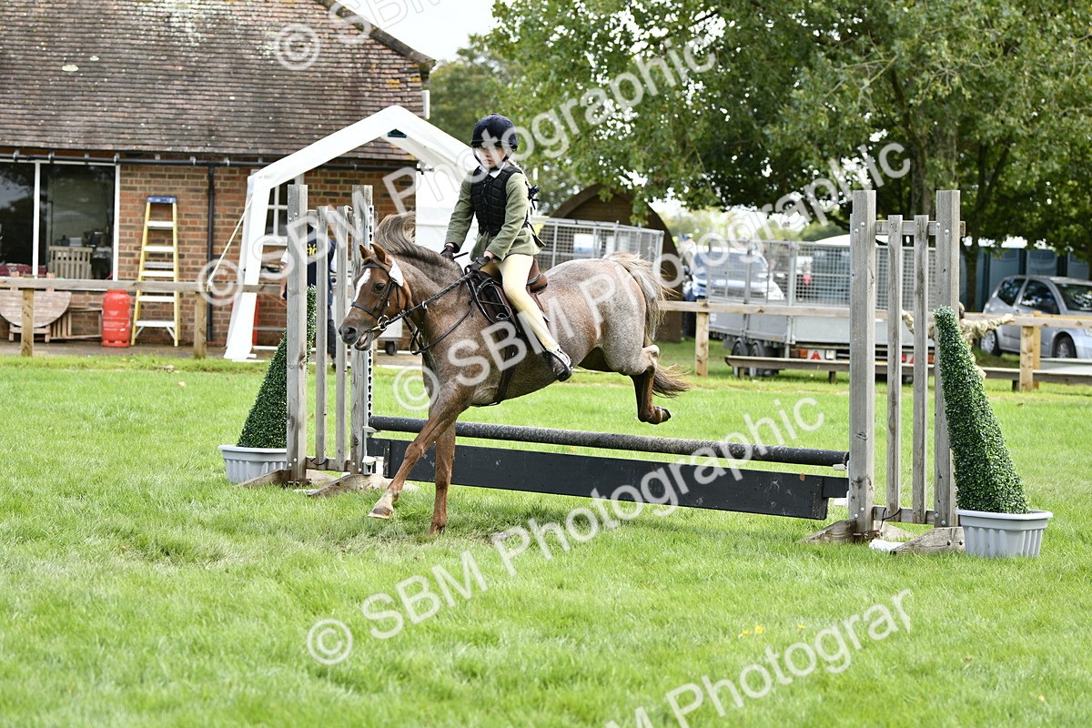 SBM_41252 - S32 - Mountain & Moorland Working Hunter Pony