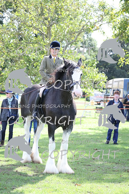 APP_3677 - Class 8 Ridden Class