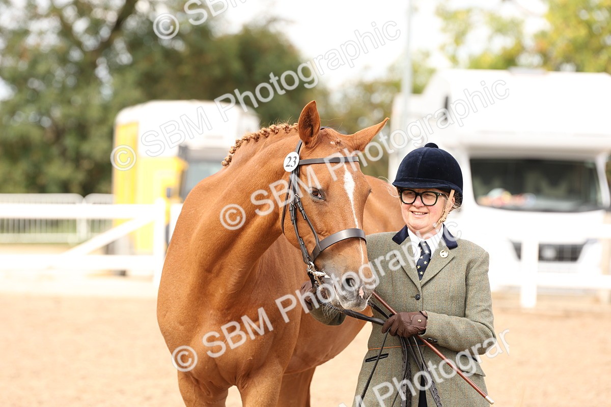 SBM_14643 - Class 208 - IH Veteran Horse