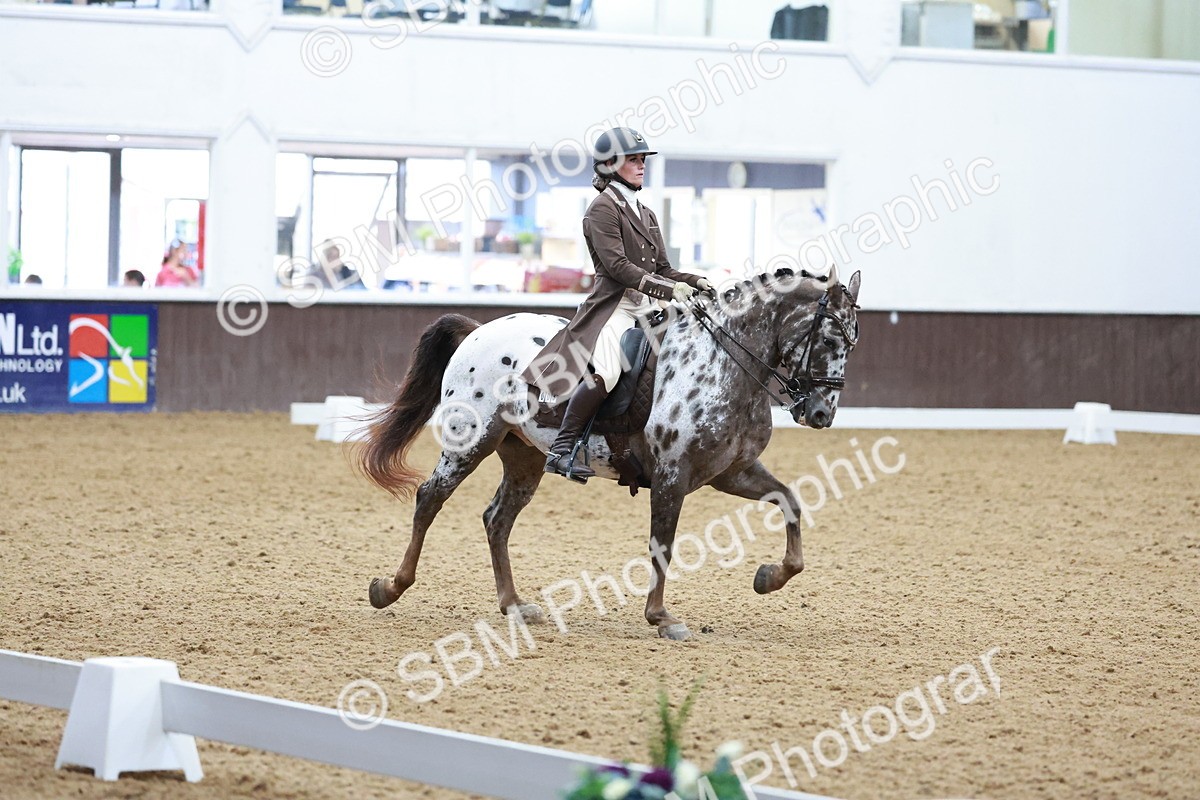 SBM_021369 - Class 14 - FEI Grand Prix - 17.40-18.34