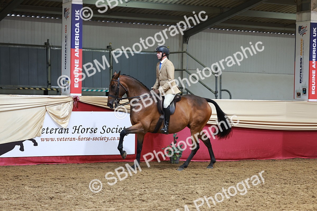SBM_14912 - Class 108 - Ridden Retired Racehorse