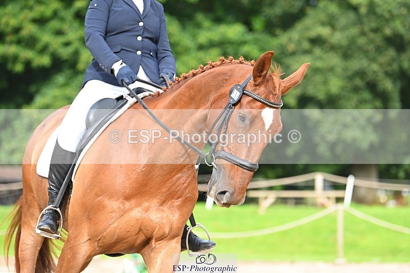 230813-083743-05654 - Cls 12 Elem Silver Start to 10.10 break