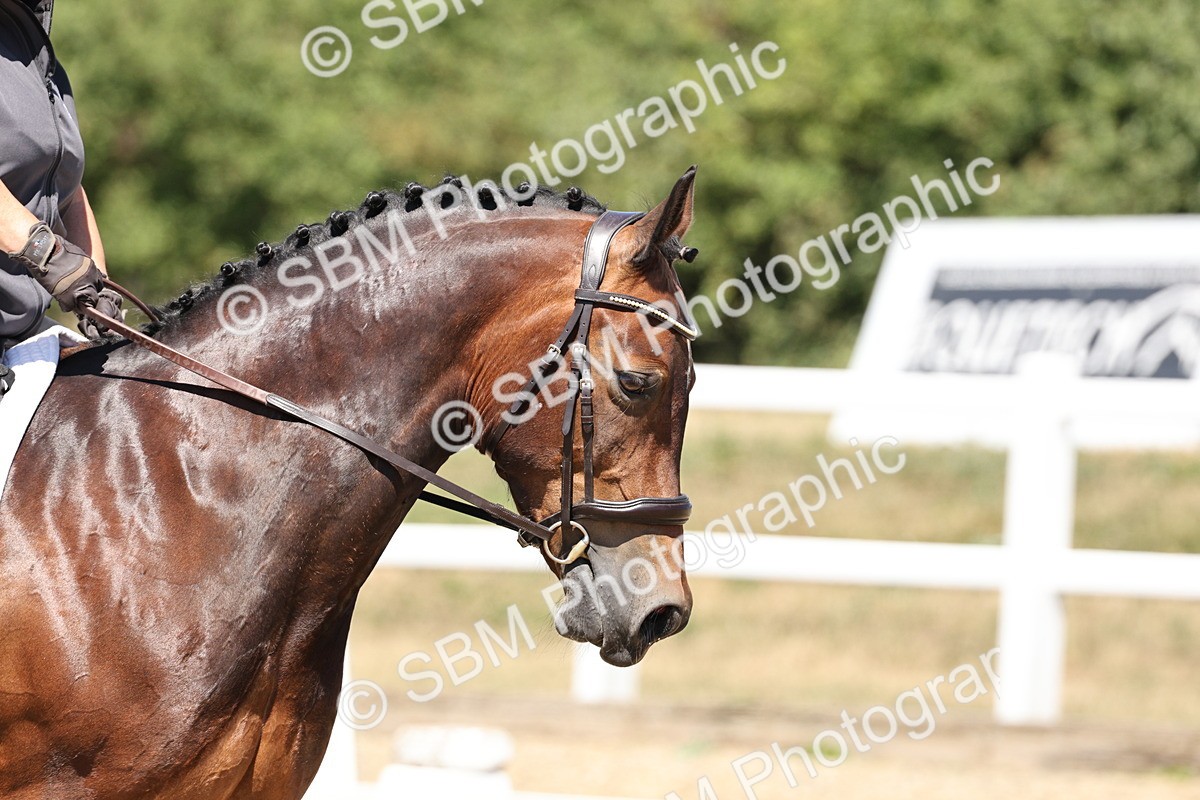 SBM_001619 - Prelim 4 - 11.25-13.24