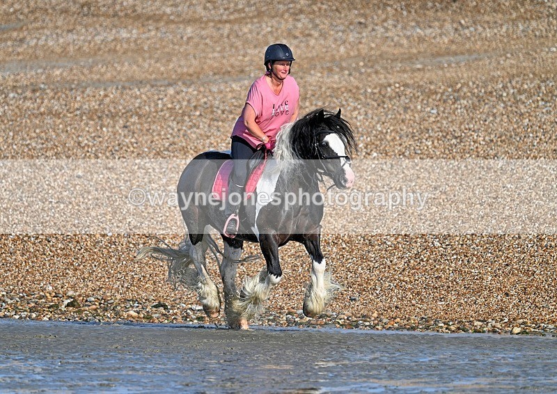 WJ7_3786_1 - Kellie & Churchill ... do Hayling Island 25-08-24