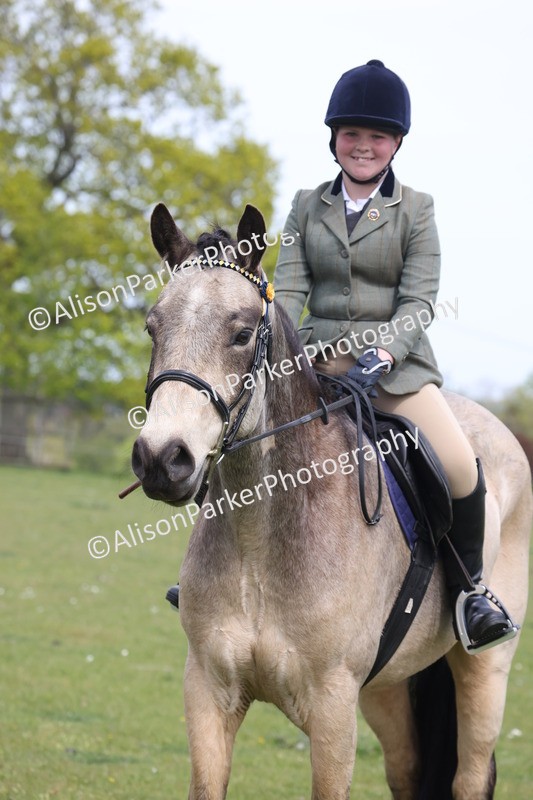 20260426-4377 - Class 34 - Best Riding Horse Over 14.2hh