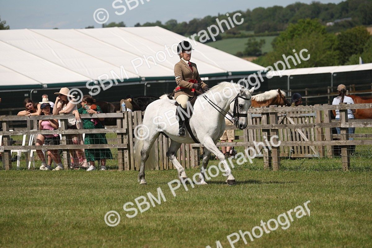SBM_07662 - Class 26-30 - Mountain and Moorland Ridden