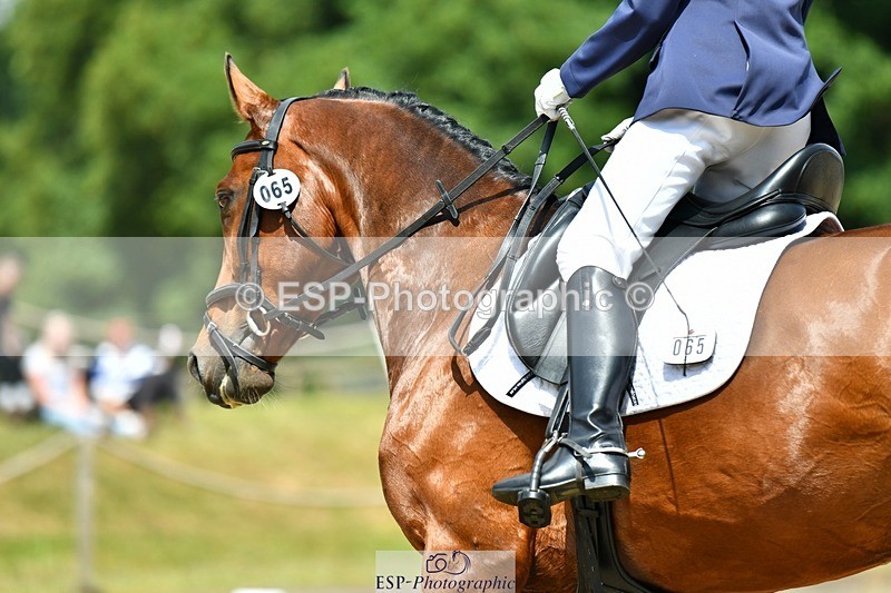 230623-115203-02140 - Cls 4 Novice 37Q Start to 12.35 break