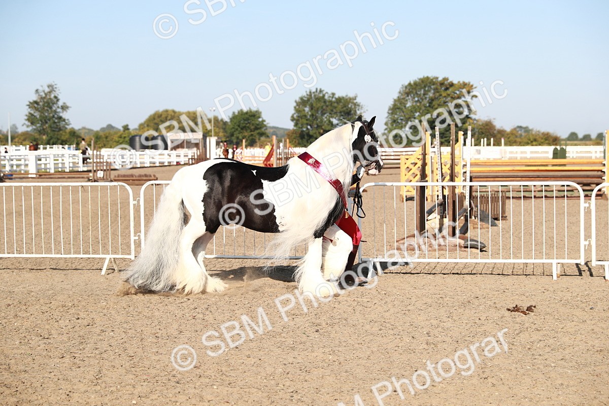 SBM_00157 - Class 40 Best Turned Out IH