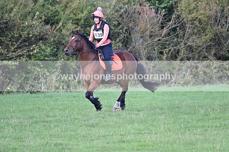 WJ7_1210 - Time 13:56 to 14:24