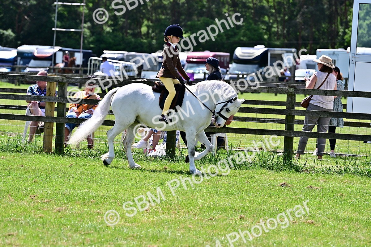 SBM_06027 - Class 59-60 - TSR M&M  Lear Rein and First Ridden Amateur of the year