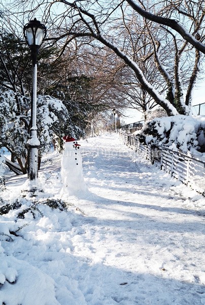  - Central Park