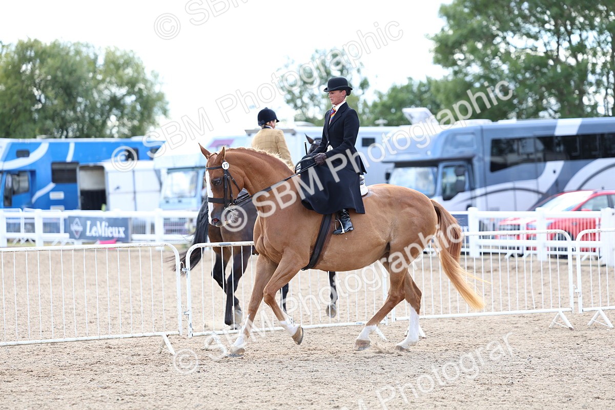 SBM_17152 - Class 315 - Best Horse - Rider Combination