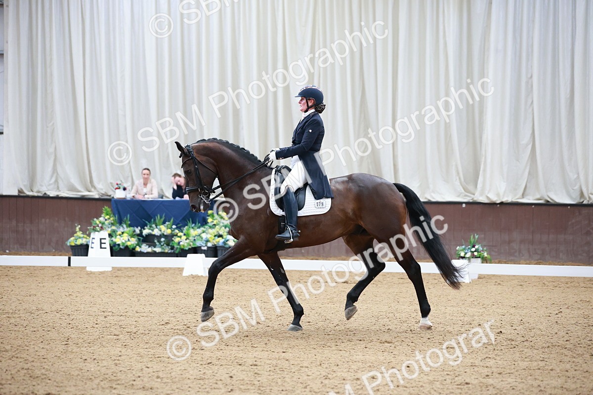 SBM_008593 - Class 14 - FEI PSG - 9.30-10.30
