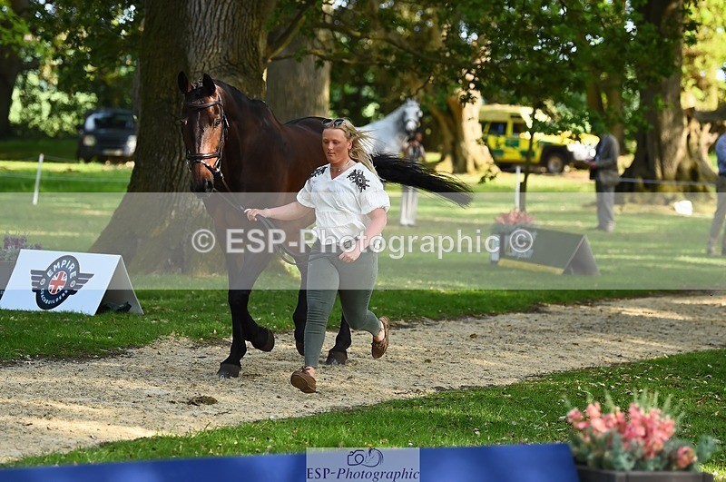 230524-171956-01439 - 178-RIDIRE_DORCHA-Lucy_Stimson-WEDTrotUp+DR