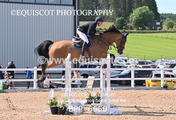 BPP_6650 - CLASS 13 FRI HOYS Talent Seeker Qualifier Inc 7 Year Old Horse Championship Qualifier
