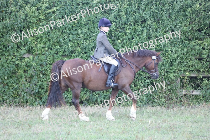 20250831-0972 - Class 15 - Ridden Veteran