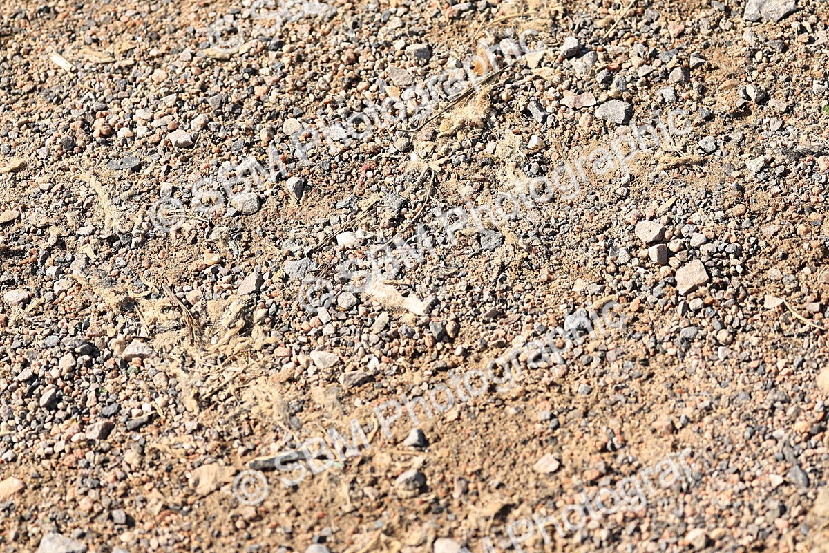 SBM_29079 - E12 - Eventers Challenge 70cm Championships