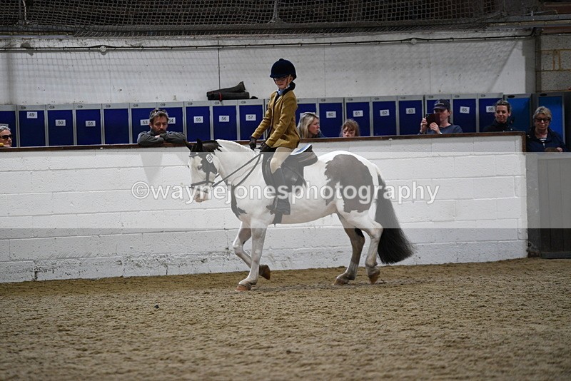 WJ5_7275 - Class 11 Ridden PC - RC Pony