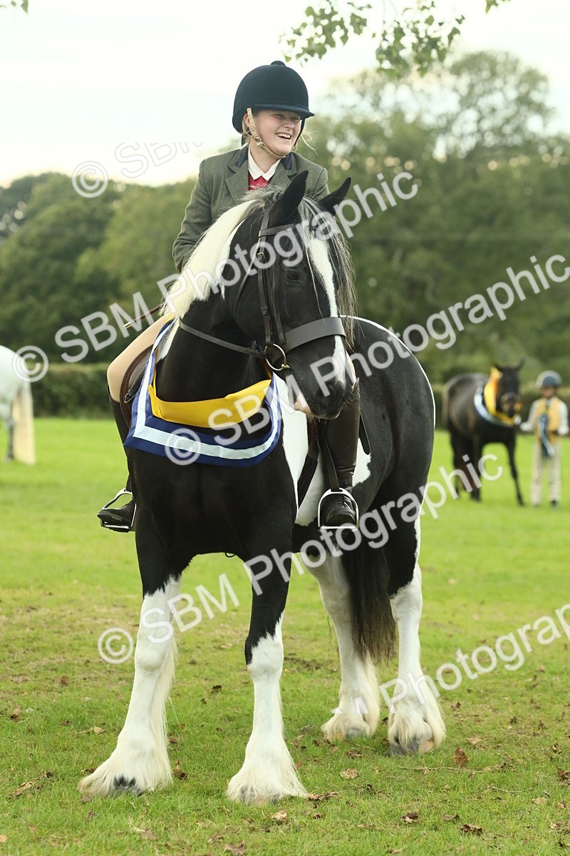 SBM_75293 - Super Supreme Championship