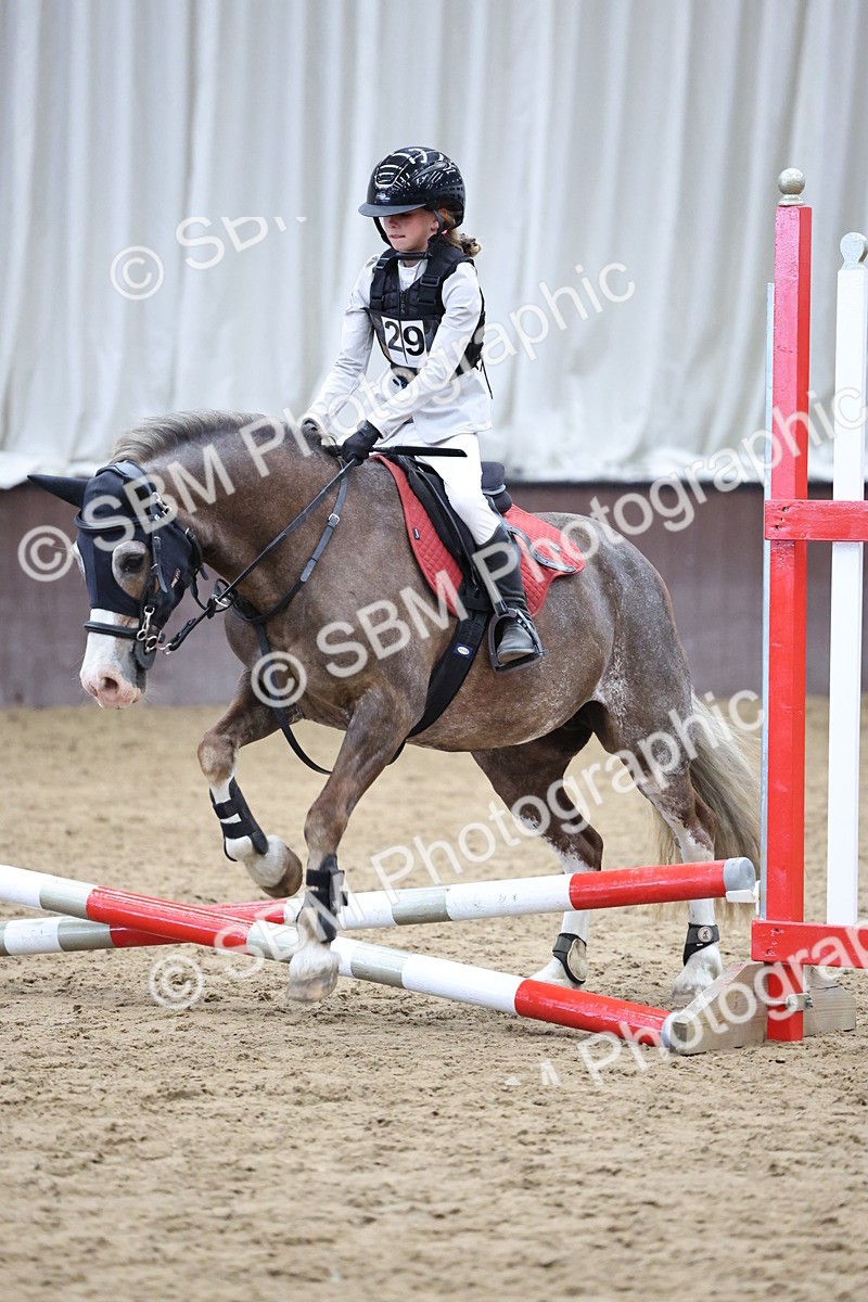 SBM_007012 - Class 1 - 40cm showjumping