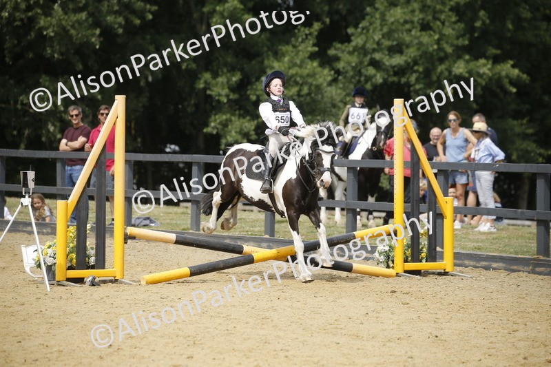 20250622-4627 - 50cm