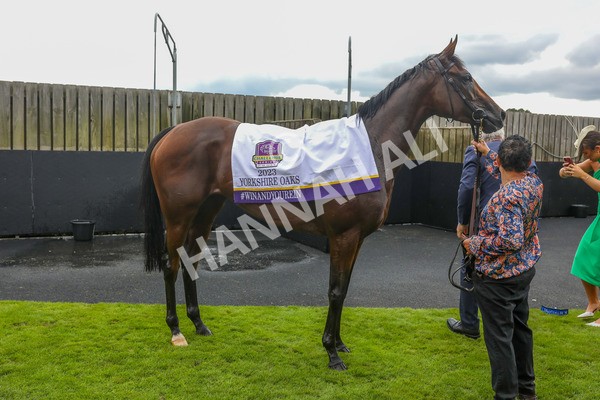 240823-Race 4-Warm Heart-5317 - Race 4 3.35pm Pertemps Network Yorkshire Oaks