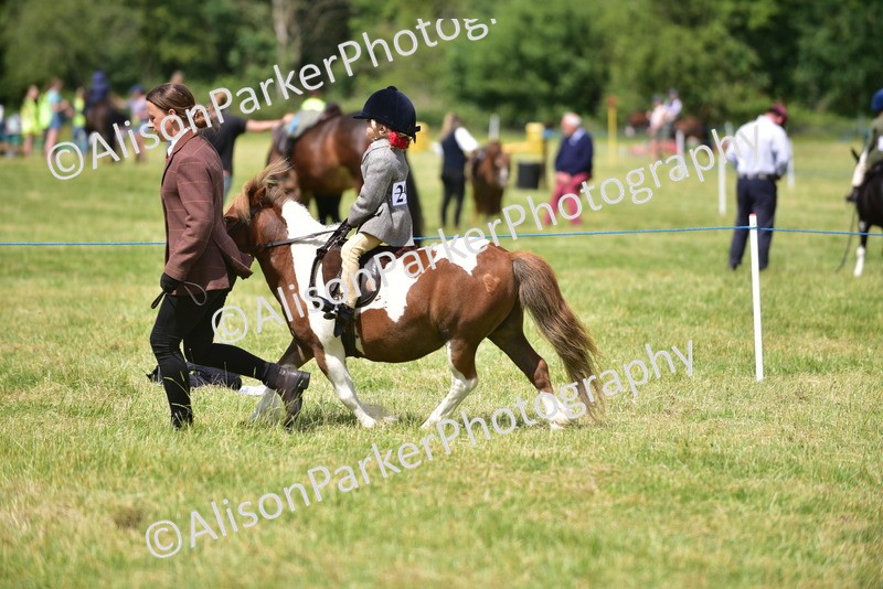20260614-1234 - Class 11a - Lead Rein Pony (Unplaited)