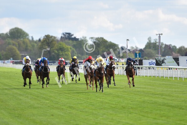 yr12052021r5-18 - Race 5 3.40pm Sky Bet Stakes