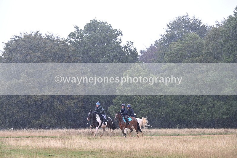 DSC_3043 - Time at Statue 12:59 to 13:49